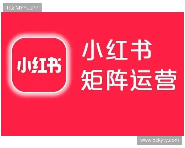 开云网站推广案例分析揭秘成功运营背后的关键策略与实操经验
